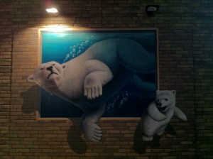 IMG_5779